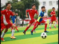 多特蒙德VS汉堡直播_多特蒙德VS汉堡低延迟免费高清直播_多特蒙德VS汉堡直播数据面板